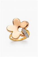Anneau Idee Preziose dal 1987 Femme in Or jaune Zircone IP.AK18M/16 - IP.AK18M/16